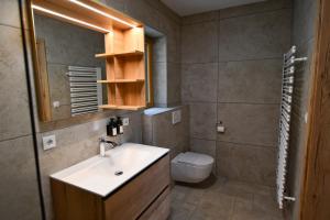a bathroom with a sink and a toilet and a mirror at Wohlfühl Apartments am Hof Rapotz in Leutschach +18 photos