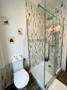 a bathroom with a toilet and a glass shower at T2 Amboise avec vue sur le Château Royal in Amboise