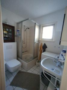 a bathroom with a shower and a toilet and a sink at Ferienhaus Tätendorf für die ganze Familie in Tätendorf-Eppensen +20 photos