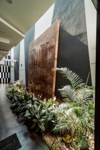 a group of plants in a room with a wall at Hotel QC in Trujillo