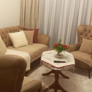 a living room with two couches and a coffee table at Ruza Vetrova a4 in Nova Varoš