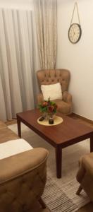a living room with a coffee table and a chair at Ruza Vetrova a4 in Nova Varoš