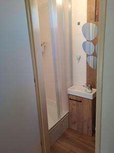 a bathroom with a shower and a sink at Chata Veverka in Doksy