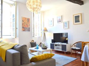 a living room with a couch and a tv at Le Chaud Vin - Centre historique Albi - Zone Unesco - Animaux acceptés in Albi