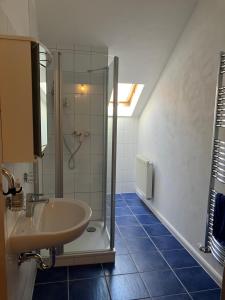 a bathroom with a sink and a shower at Alte Gärtnerei in Blankenburg +11 photos