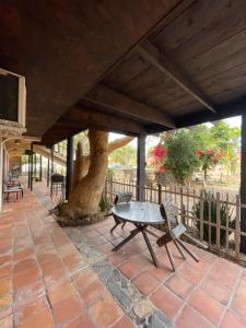 a patio with a table and a tree at Rm Dorm in San Quintín
