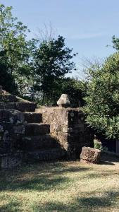 an old stone stairway in a field with trees at Casa de Margacide in Vila Nova de Cerveira