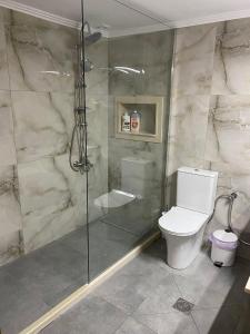 ein Badezimmer mit Toilette und Glasdusche in der Unterkunft Tsamakia in Petra + 17 Fotos
