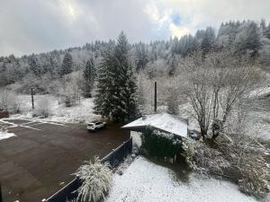 a car parked in a parking lot with snow on it at Studio Chalet des Pistes in Gérardmer