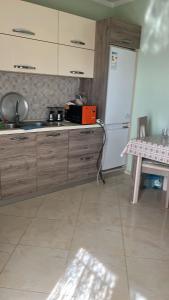 a kitchen with a white refrigerator and a sink at Bodini Mountain House in Peqin