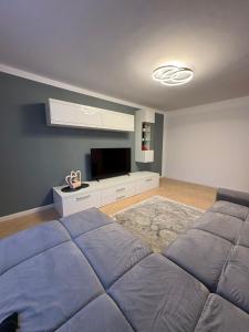 a bedroom with a large bed and a flat screen tv at Borșa ApartHotel 5 in Borşa +6 photos