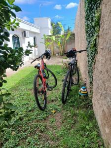 two bikes are parked next to a wall at Refugio del Limonero - Colonial y Cercano in Córdoba