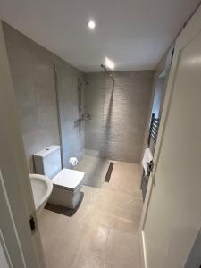 a bathroom with a white toilet and a shower at Colony Retreat in Dingle +9 photos