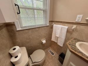 a bathroom with a toilet and a sink at Lux Minimum 2 Lexington With Riverwalk & CAE in West Columbia +10 photos
