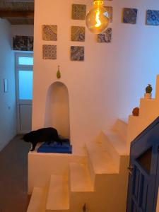 a black cat standing on a blue cushion on some stairs at Casa Civetta in Stromboli