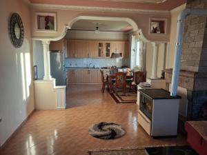 a living room with a fireplace and a kitchen at Villa Elezi in Culaj