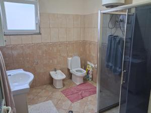 a bathroom with a toilet and a sink and a shower at Villa Elezi in Culaj