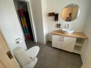 a bathroom with a toilet and a sink and a mirror at 20334-Samso-Kaerbakken-13 in Hårdmark
