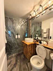 a bathroom with a white toilet and a sink at Spacious 3 & 3 in Aspen's Core with Sauna in Aspen