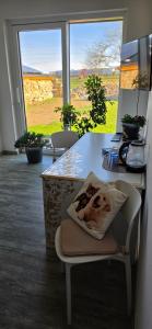 a dog pillow sitting on a chair in a kitchen at Útulný klidný pokoj B in Radošovice +2 photos