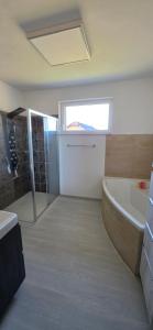 a bathroom with a shower and a tub and a sink at Útulný klidný pokoj B in Radošovice