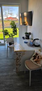 a kitchen with a counter and a view of a field at Útulný klidný pokoj B in Radošovice