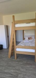 a couple of bunk beds in a room at Útulný klidný pokoj B in Radošovice