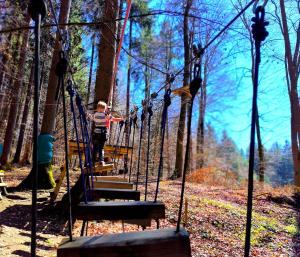 a child on a swing set in the woods at Tiny House 1 im schönen Allgäu mit großem Garten, Naturnah in Bad Wurzach +31 photos