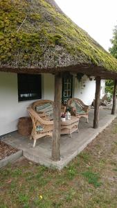 a house with a thatched roof with chairs and a table at Pension Forstfuhrmannshof in Markgrafenheide