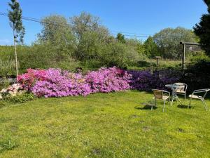 two chairs and a table in a yard with pink flowers at Pension Forstfuhrmannshof in Markgrafenheide