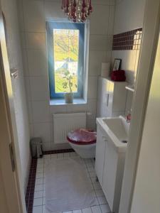 a bathroom with a toilet and a sink and a window at Gästehaus Graupner in Hainichen +7 photos