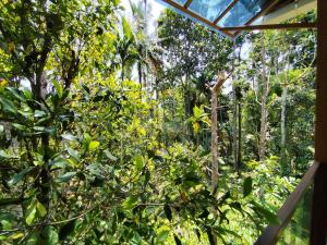 a view of the forest from the inside of a house at Spice Garden Clove Villa in Batheri +2 photos