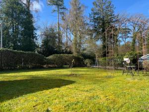 a garden with a tree in the grass at Waldnest am Meer in Varel