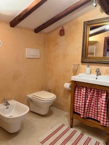 a bathroom with a toilet and a sink and a mirror at Campanile N1 in Montemerano +23 photos