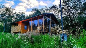 a small wooden cabin in a field of grass at SkyhighRetezat in Clopotiva +60 photos