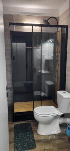 a bathroom with a toilet and a glass shower at Garsoniera Ady in Mangalia