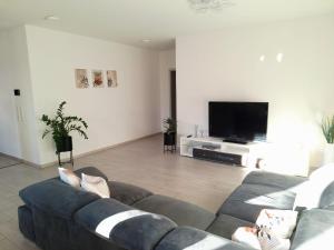 a living room with a couch and a flat screen tv at Gemütliche Wohnung mit Terrasse nahe Würth in Künzelsau