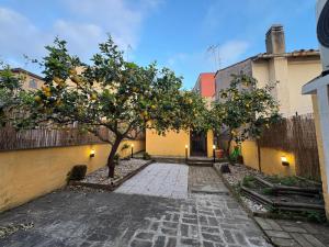 an orange tree in front of a building at CAERE RoGi House in Cerveteri