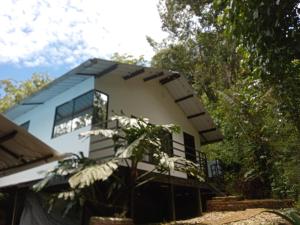 a house with a tree in front of it at Cabañas Bosque Encanto - Jacuzzi in San Francisco