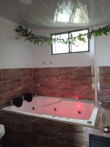 a pink bath tub in a bathroom with a window at Cabañas Bosque Encanto - Jacuzzi in San Francisco