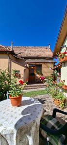 a house with pots of flowers on a patio at Garden City Apartment in Cluj-Napoca