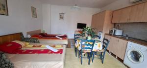 a small room with a bed and a washing machine at Garden City Apartment in Cluj-Napoca
