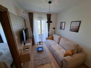a living room with a couch and a television at Silver Marina Residence in Veliko Gradište +14 photos