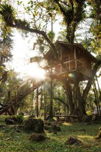 a tree house in a tree at Chácara bello Rio in Guaratuba