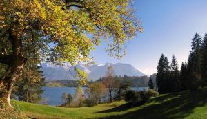 a view of a lake with a tree in the foreground at Ferienwohnung HERZOGSTAND in Krün +3 photos