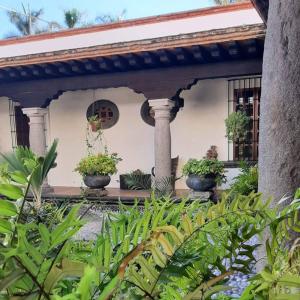 Kebun di luar Avicena Hotel Boutique +66 foto