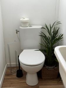 a white toilet in a bathroom with a plant at Bungalow jacuzzi & jardin privatif séjour détente au soleil in La Crau