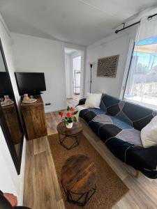 a living room with a couch and a tv at Bungalow jacuzzi & jardin privatif séjour détente au soleil in La Crau
