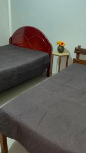 two beds sitting next to each other in a room at Recanto Chaparral in Aragoiânia