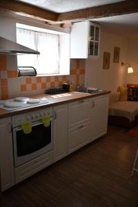 eine Küche mit Spüle und Herd Oberer Backofen in der Unterkunft FILUTE in Vrbovsko